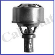 Thermostat d'eau RENAULT CLIO EXPRESS R11 R18 R19 R21 R4 R5 R9 SUPER 5